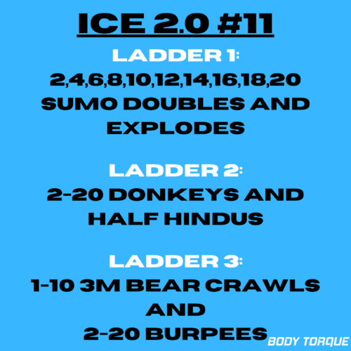 ICE #11 Image